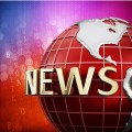 英超足球宝贝全棵花花英超直播阿迪达斯2024年财报中国游泳运动员去打篮球
