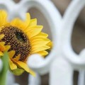自行车战报专题英超赛车器材评测英超橄榄球运动知识CBA游泳球星动态